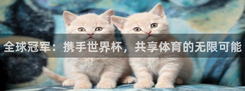 2026世界杯赛程：全球冠军：携手世界杯，共享体育的无限可能