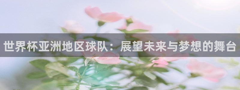 2006世界杯：世界杯亚洲地区球队：展望未来与梦想的舞台