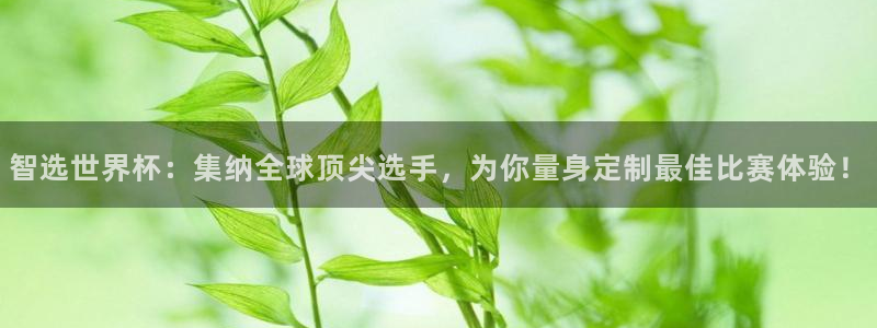 2026世界杯亚洲区预选赛：智选世界杯：集纳全球顶尖选手，为你量身定制最佳比赛体验！