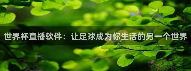世界杯官网：世界杯直播软件：让足球成为你生活的另一个世界